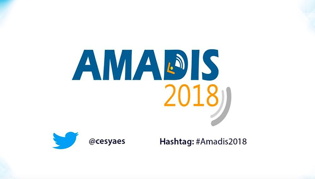 logo_amadis_2018.jpg