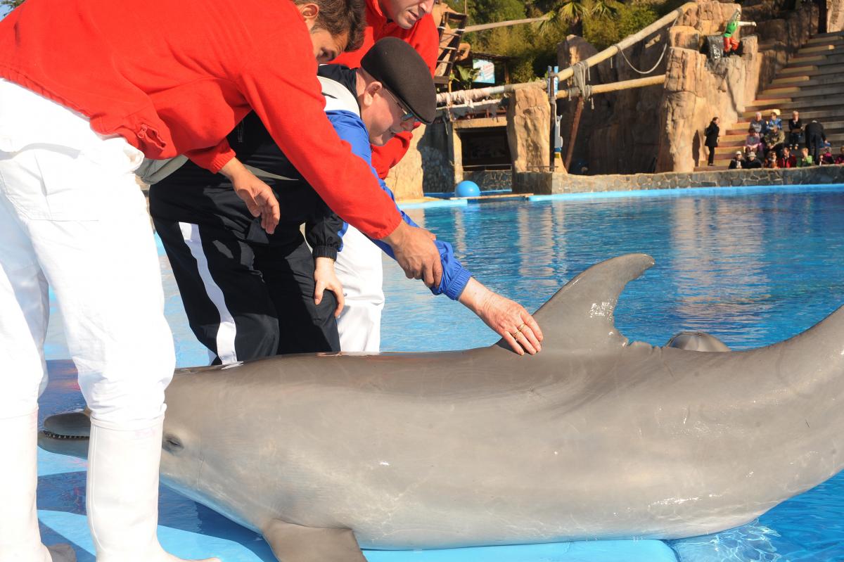 Un hombre afiliado toca un delfín en una de las visitas del programa de Vacaciones Sociales