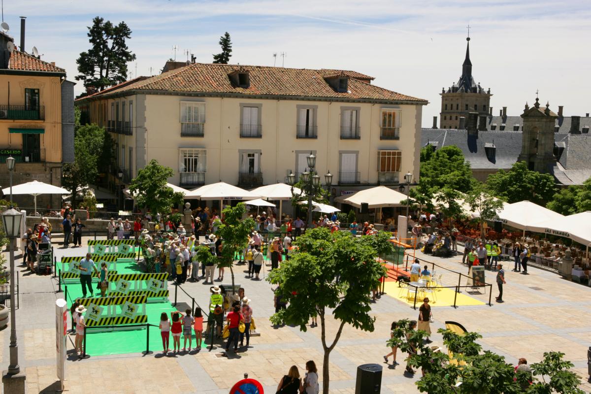 Vista panorámica de la Plaza del Ayuntamiento con la exhibición de perros guía