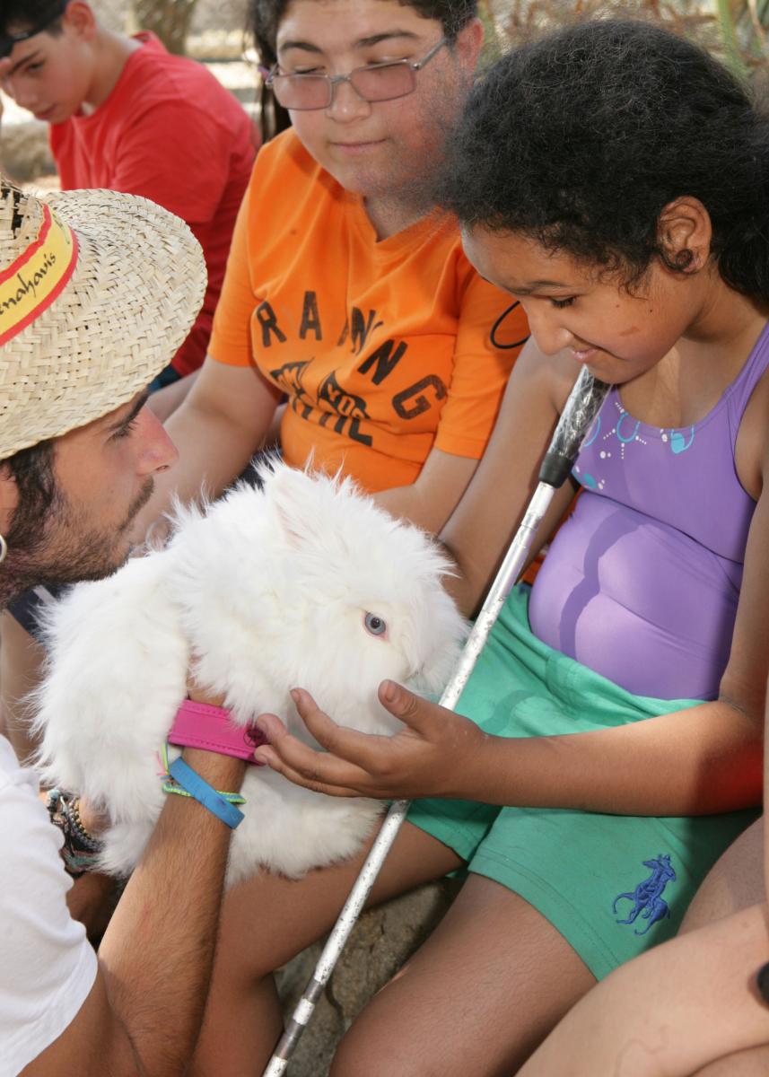 Una niña ciega toca un conejo durante una de las actividades del campamento de verano de Madrid