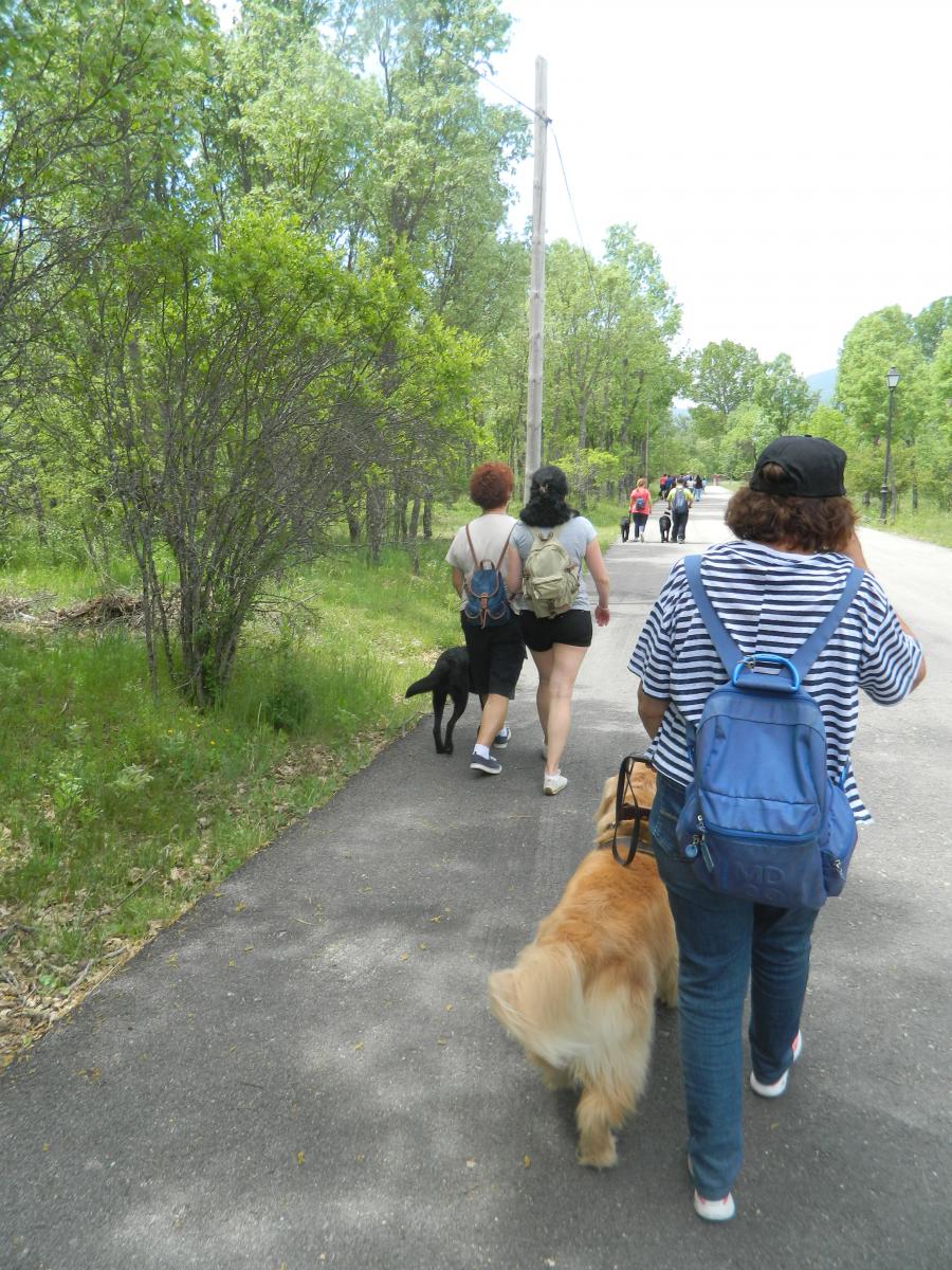 El grupo de usuarios durante una caminata organizada durante las convivencias