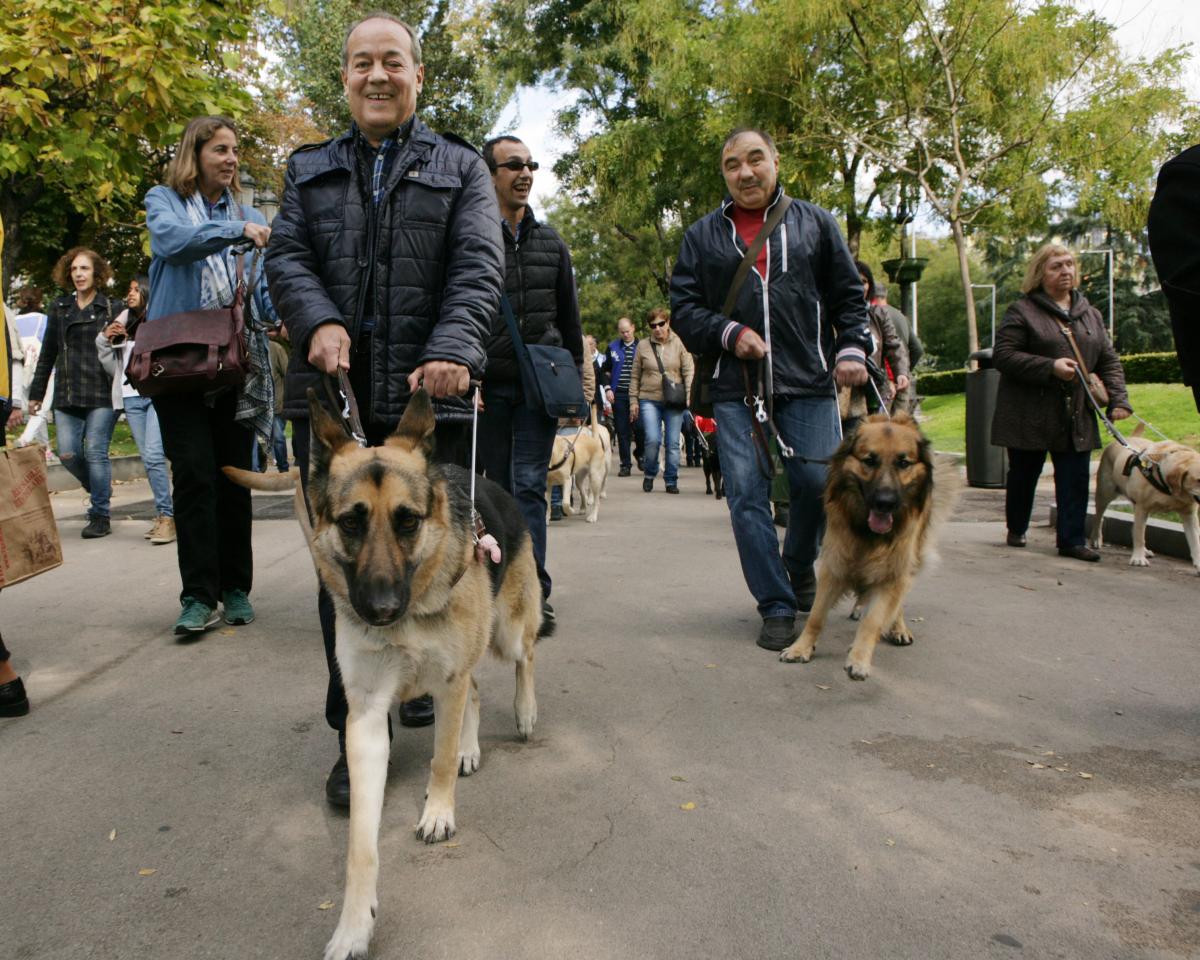 Usuarios de perro guía durante el paseo