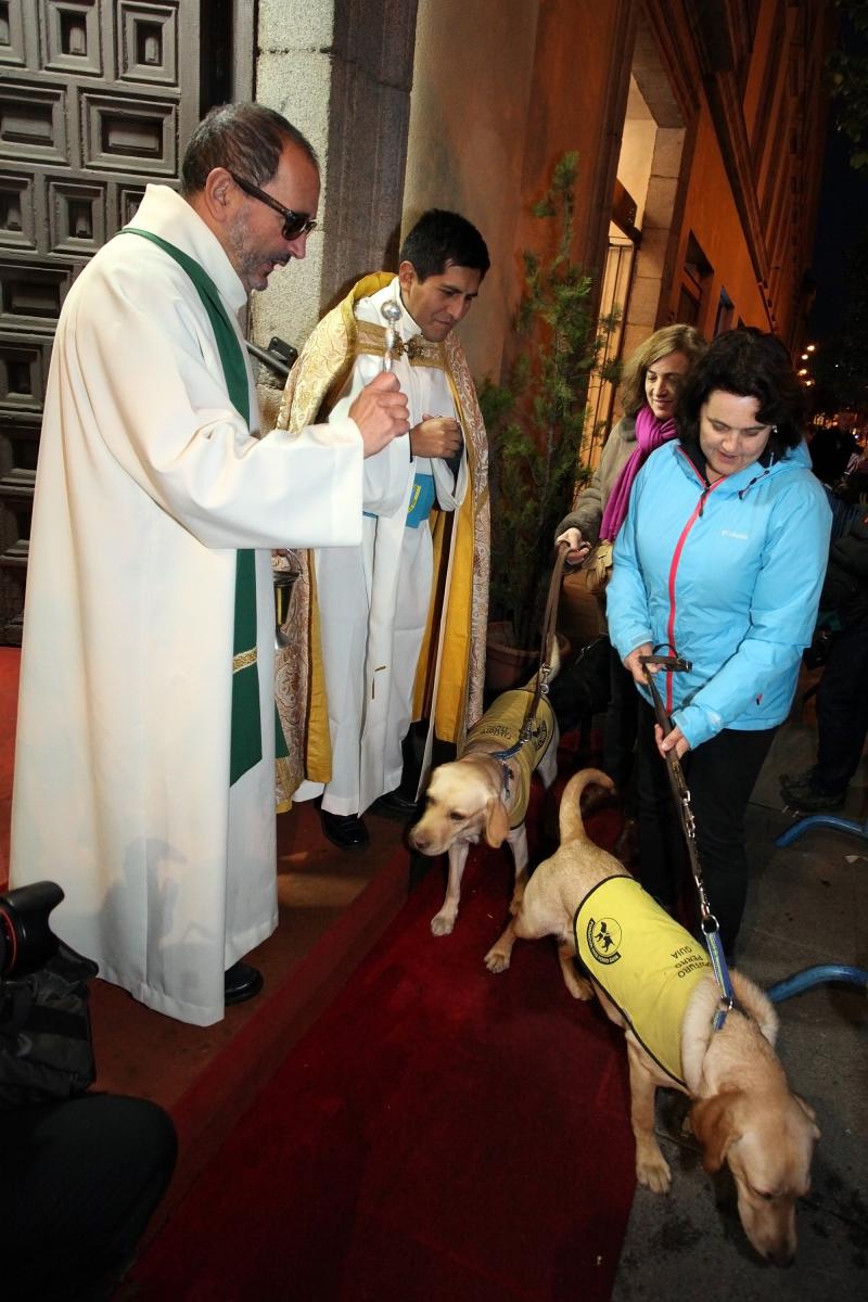 Bendición de los perros guía en la Iglesia de San Antón