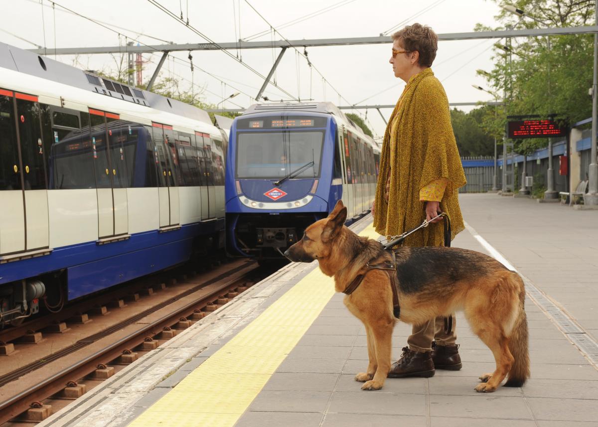 Una usuaria con perro guía espera en el andén la llegada del Metro