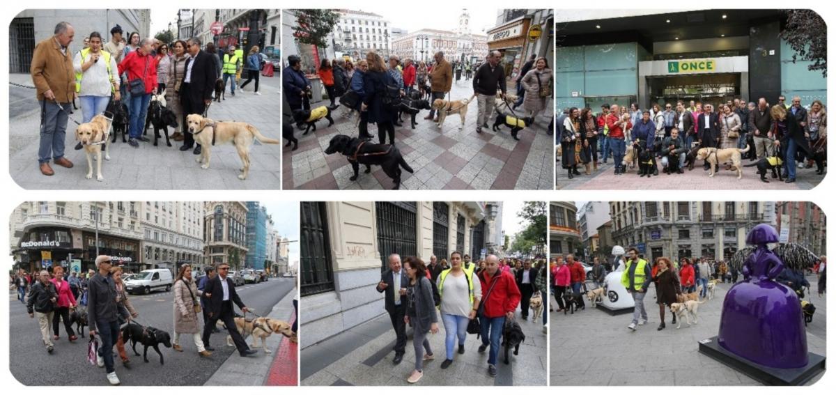 Collage con varios momentos del paseo de usuarios con sus perros