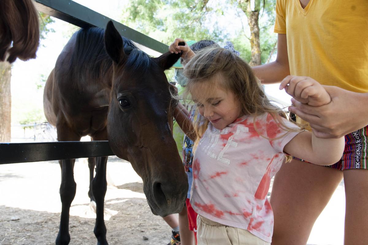 Una niña ciega junto a uno de los caballos