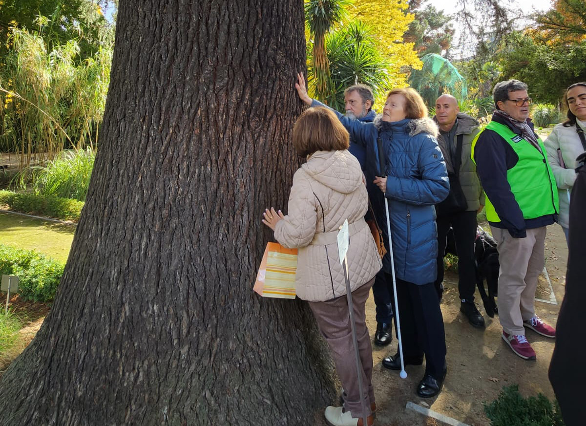 Los visitantes tocan uno de los árboles del Botánico