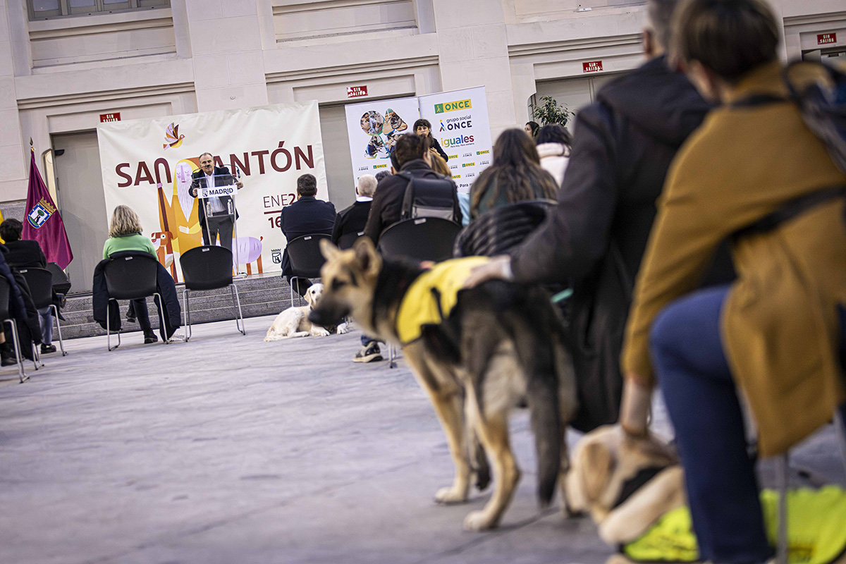 Público asistente al pregón