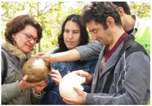 Los visitantes reconocen al tacto varios fósiles de la zona