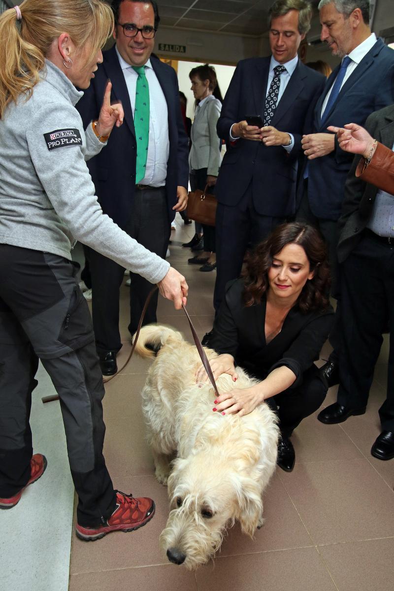 Díaz Ayuso acaricia a un perro guía durante la visita a la FOPG