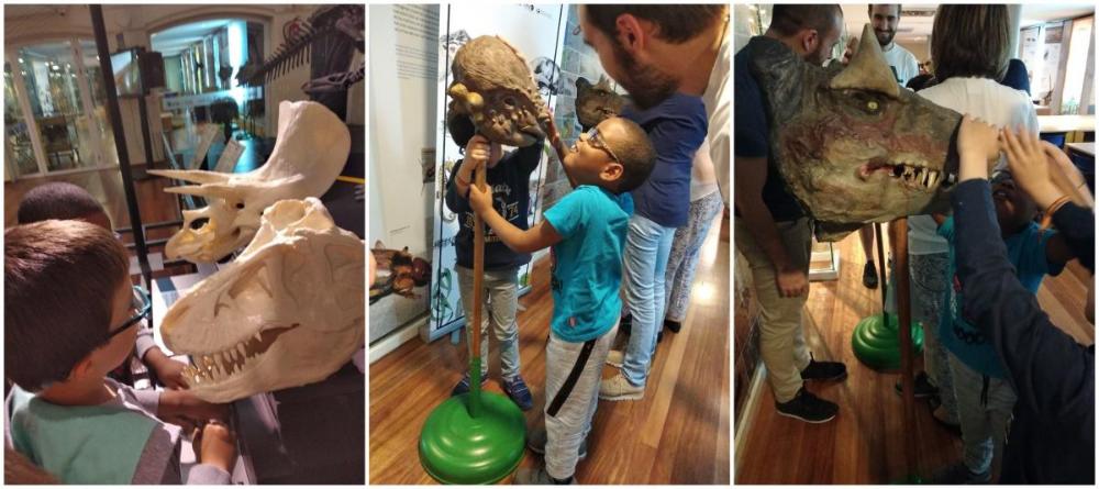 Los chavales tocando los diferentes tipos de animales prehistóricos