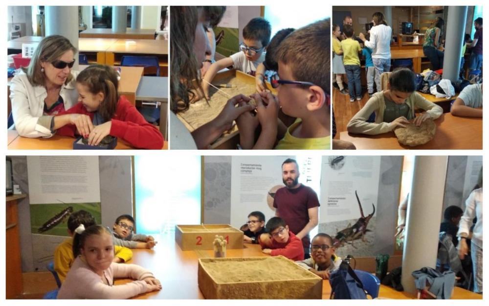 Varios de los momentos de los talleres realizados por los chavales en el MNCN