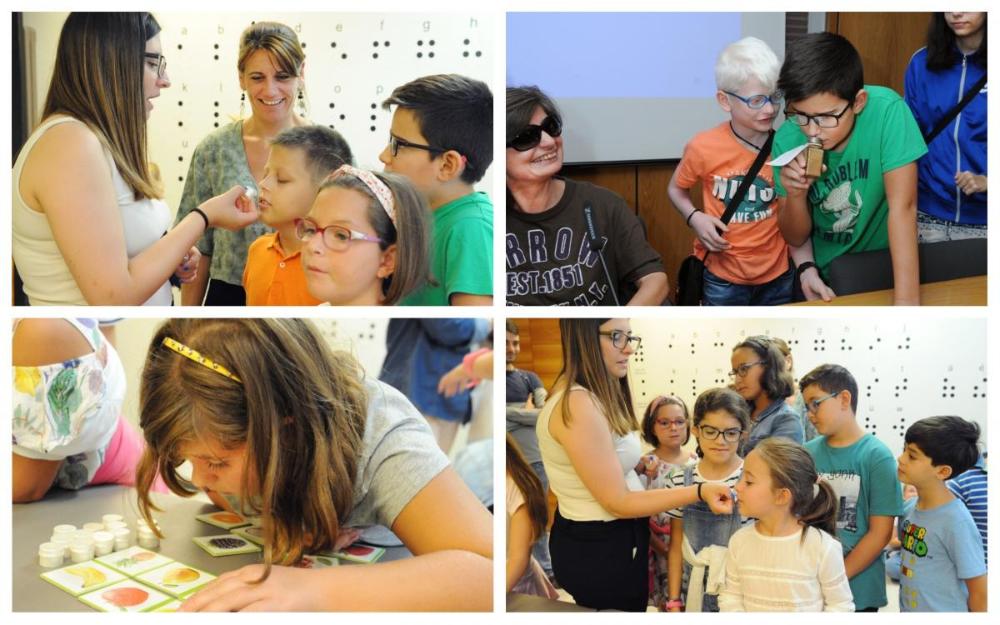 Collage con varios momentos de la visita de los chavales al Museo
