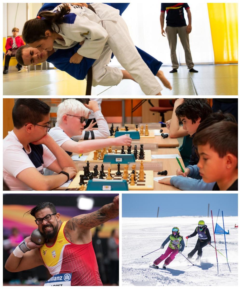 Collage con varias diversas disciplinas deportivas
