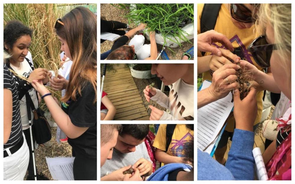 Collage con varios momentos del test de memoria olfativa