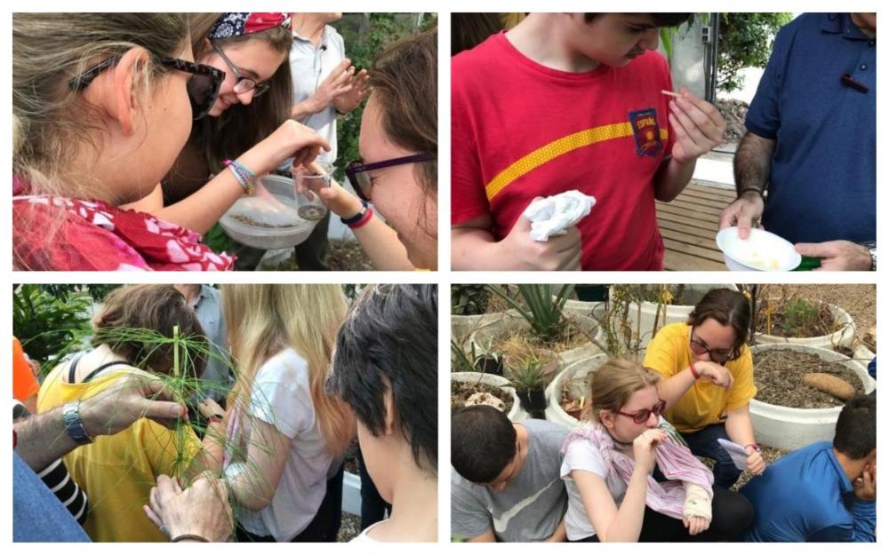 Collage con varios momentos del taller de texturas y aromas