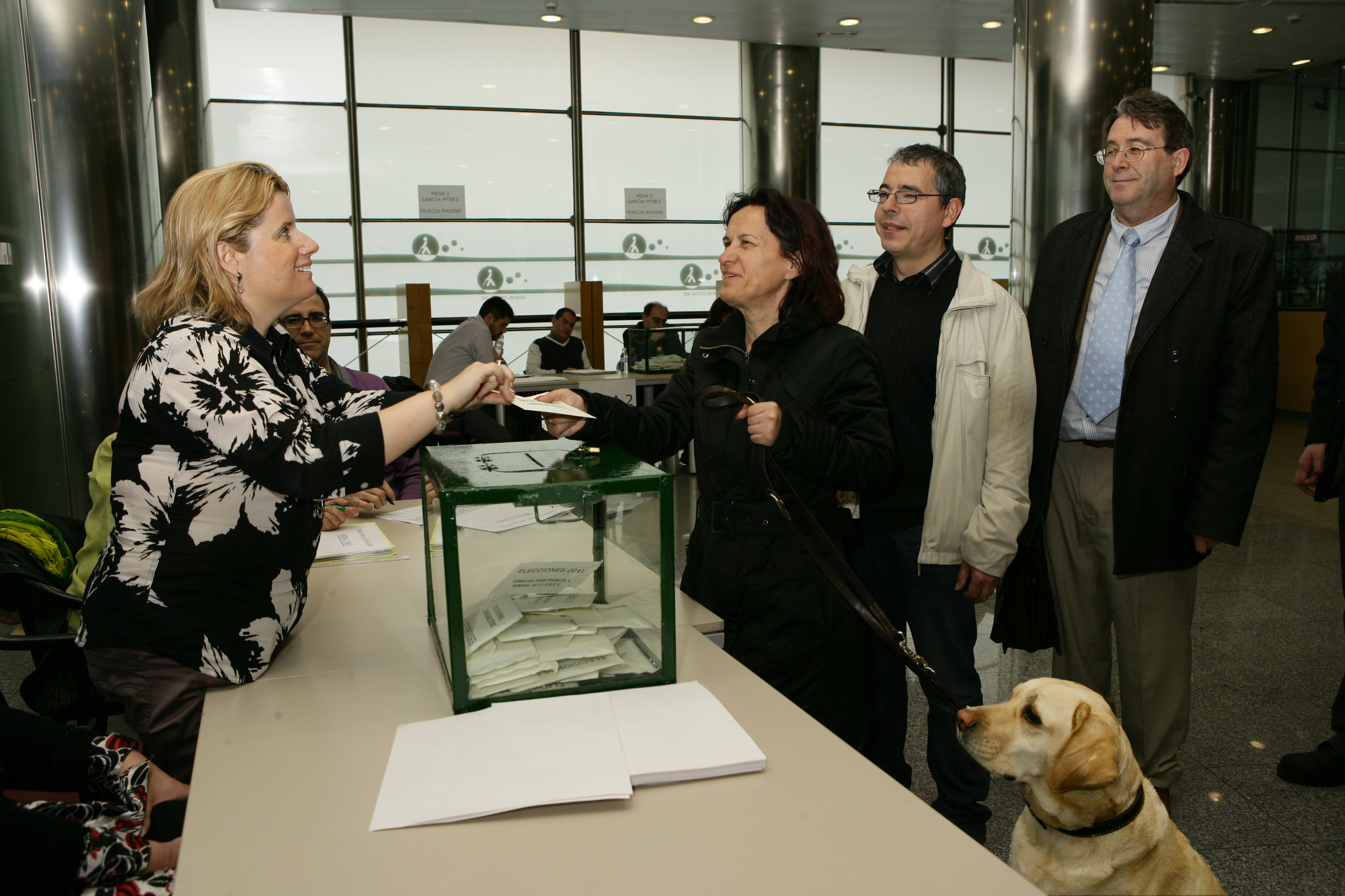 elecciones_once_2011.jpg