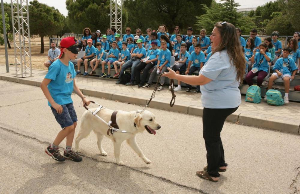 Exhibición de perros guía durante la celebración del Campus