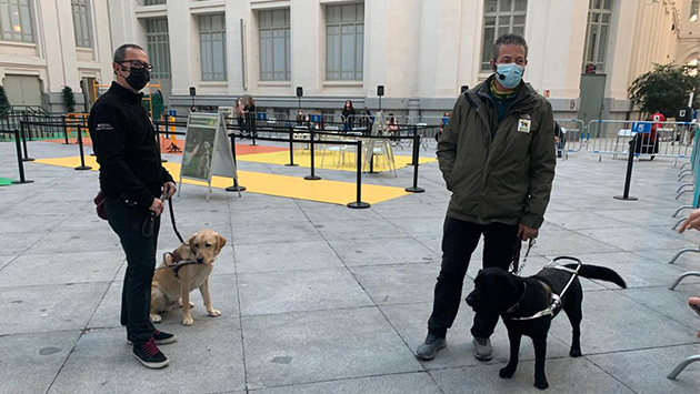 exhibicion_perros_guia_palacio_de_cibeles.jpg