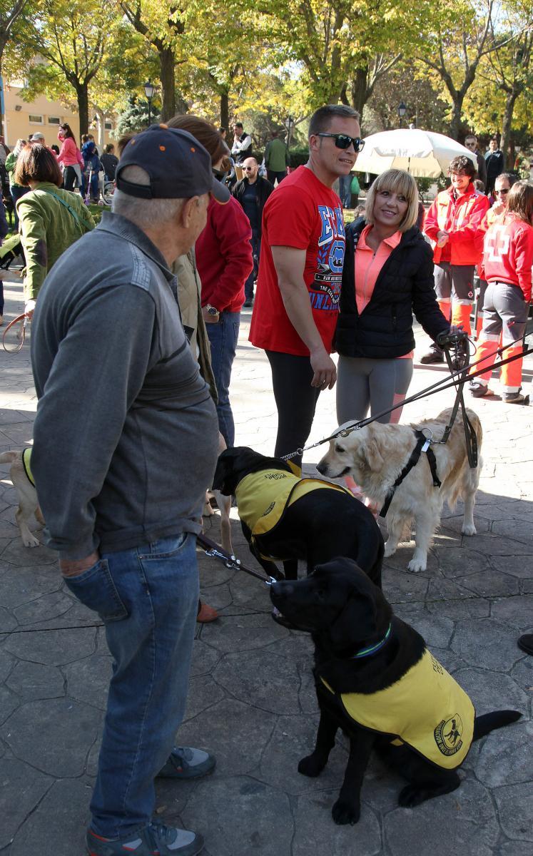 Algunos asistentes al Canicross junto a los perros de la FOPG en proceso de educación 