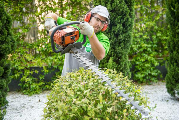 jardineria.jpg