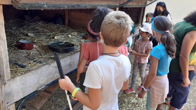 ninos_en_la_granja_escuela.jpg