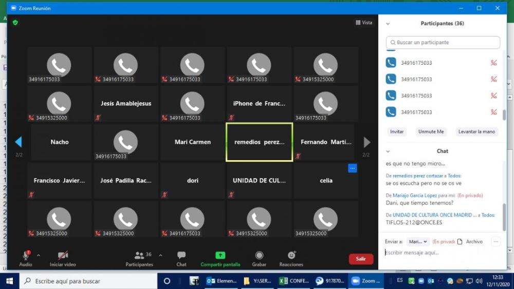 Imagen de una de las conferencias virtuales realizadas