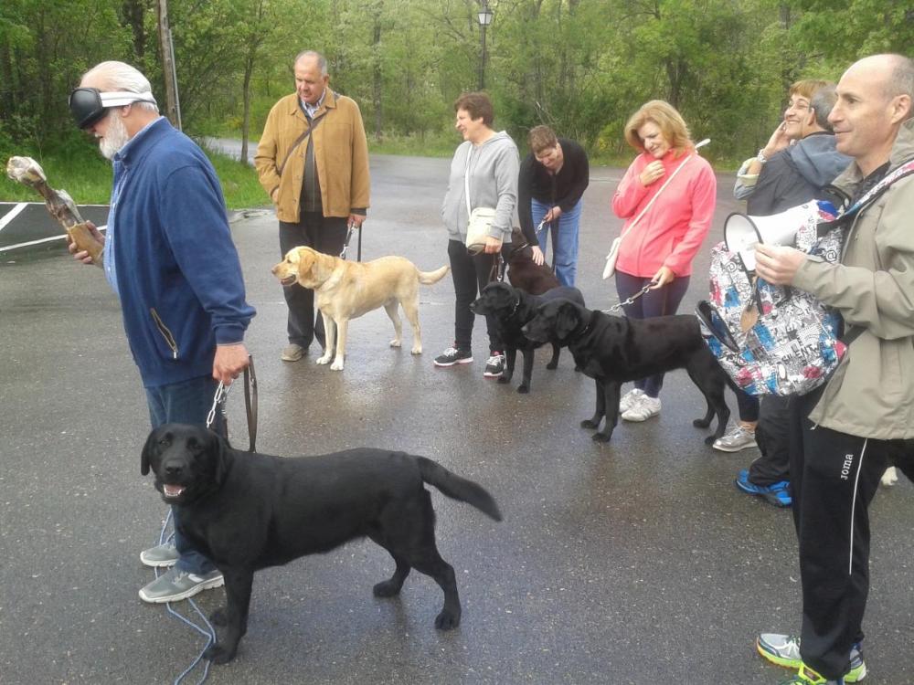 Varios usuarios junto a sus perros se preparan para disputar los juegos