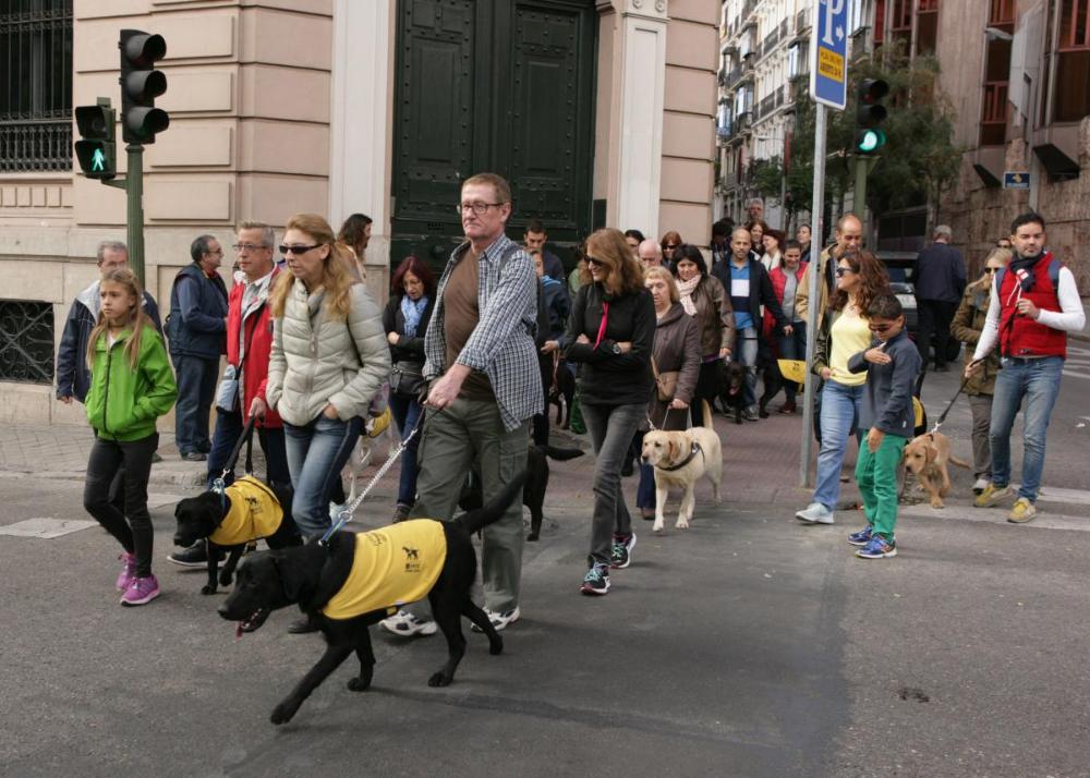 Familias educadoras de perros junto a sus animales durante el paseo