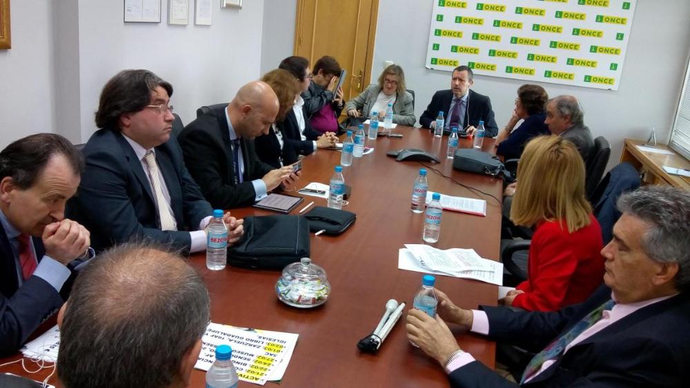 Momento de la reunión del pleno del Consejo Territorial