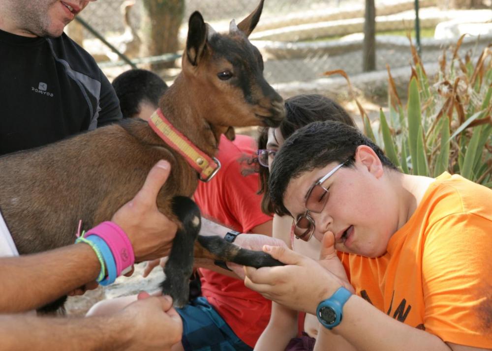 Un chaval ciego toca a un cervatillo durante una de las actividades del campamento