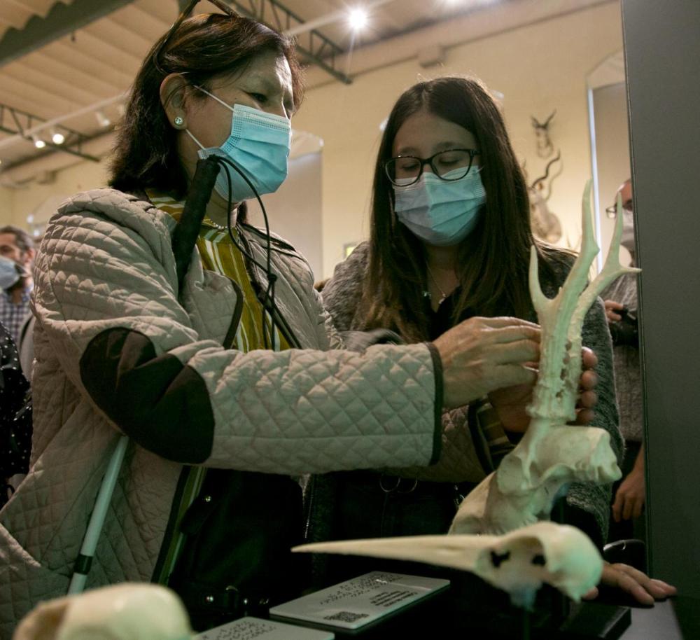 Visita del grupo de afiliados a las instalaciones del Museo