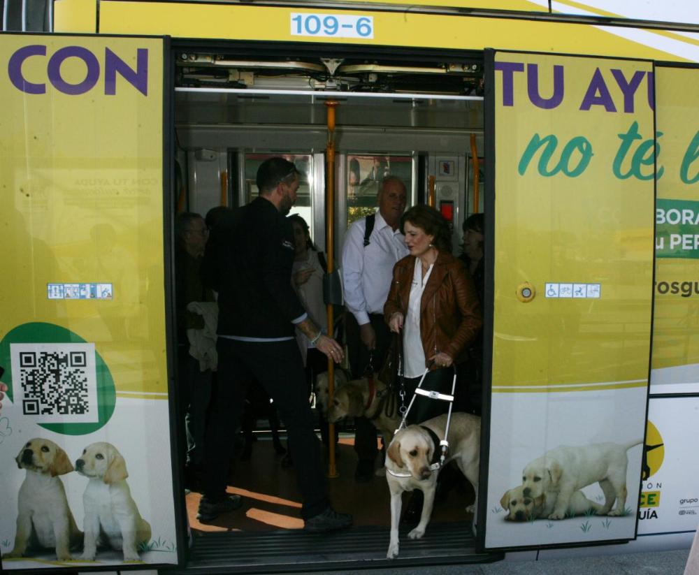 Una usuaria de perro guía saliendo del convoy