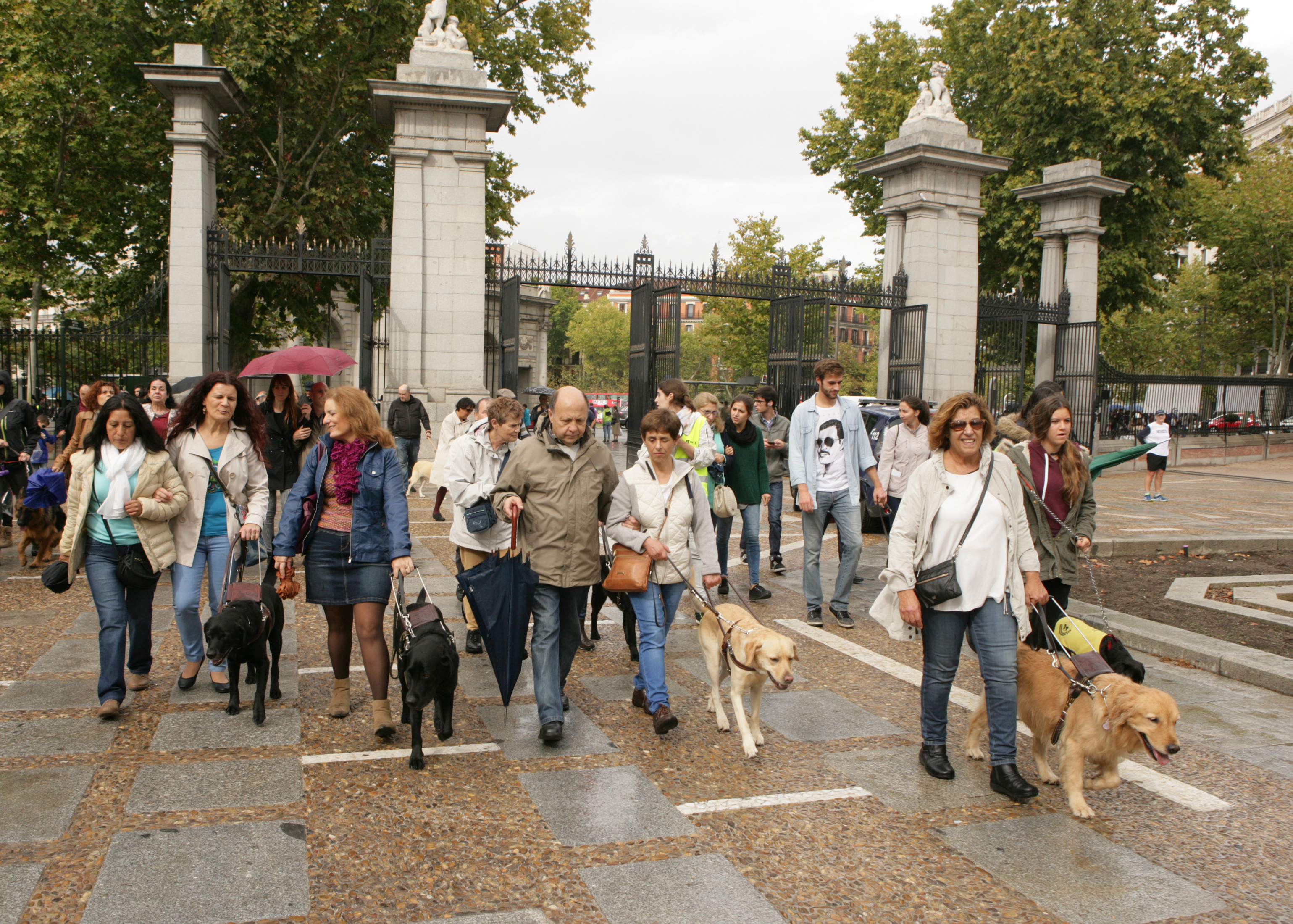 usuarios_de_perro_guia_durante_el_paseo_por_el_retiro_2.jpg