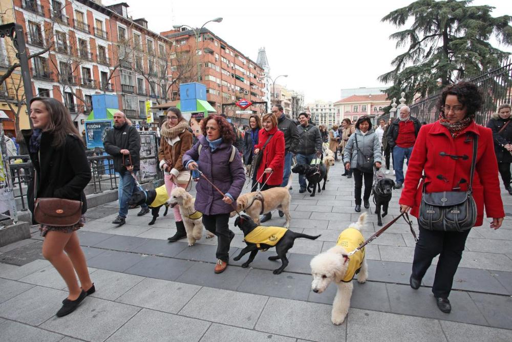 Los participantes de la FOPG durante las Vueltas de San Antón
