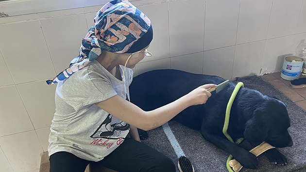 alba_cepillando_a_un_futuro_perro_guia.jpg