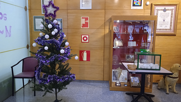 el_arbol_de_los_deseos.jpg
