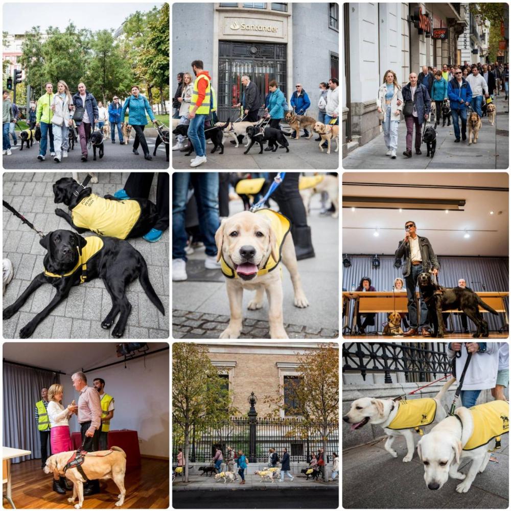 Collage con varios momentos de la jornada