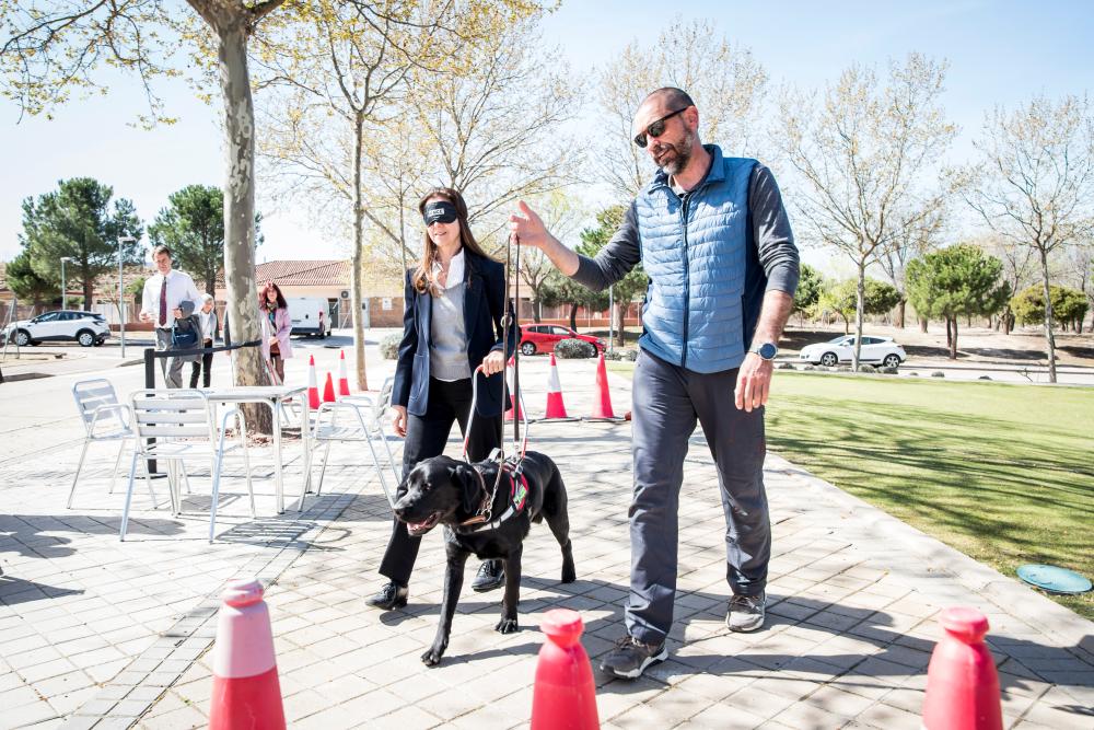 La esposa del embajador guiada por un perro guía