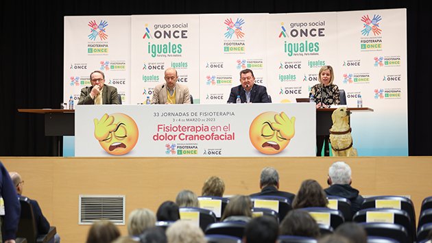Jornadas de fisioterapia