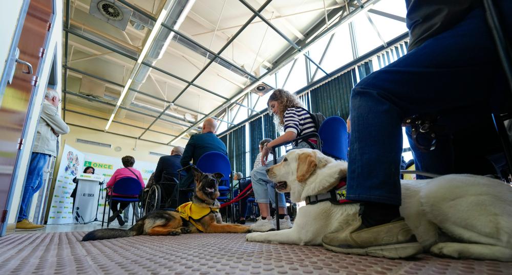 Familias educadoras junto a sus perros guía