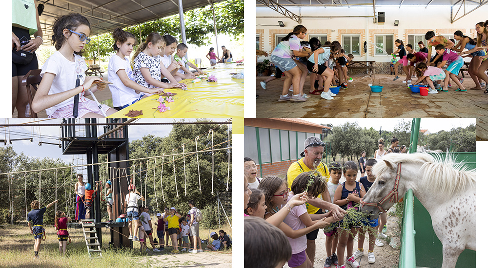 Collage con varias actividades del campamento de Madrid