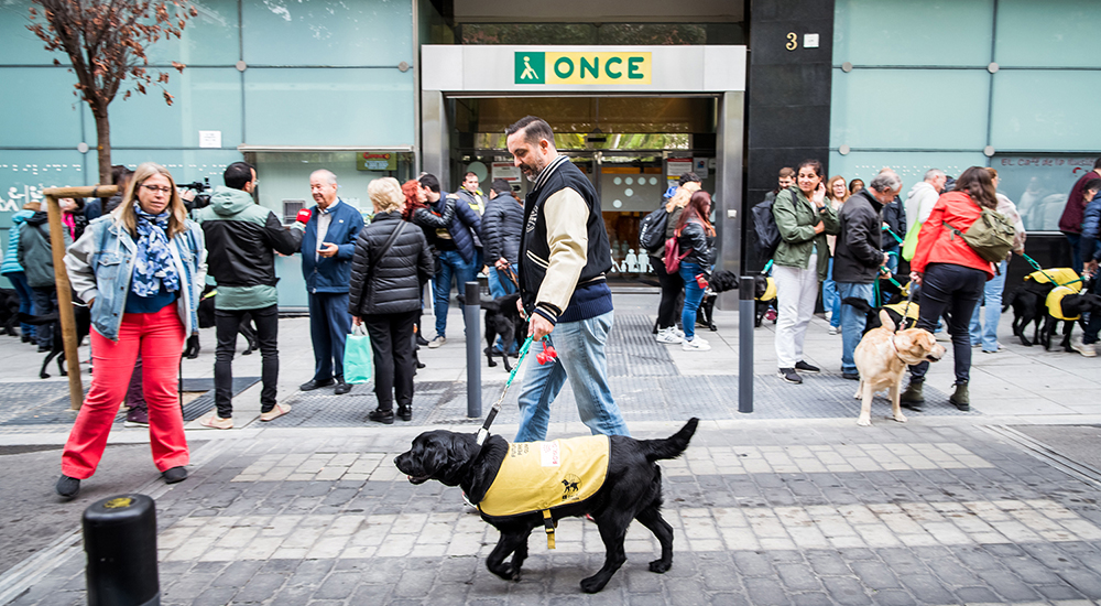 Las familias con los perros en la puerta de la Delegación Territorial