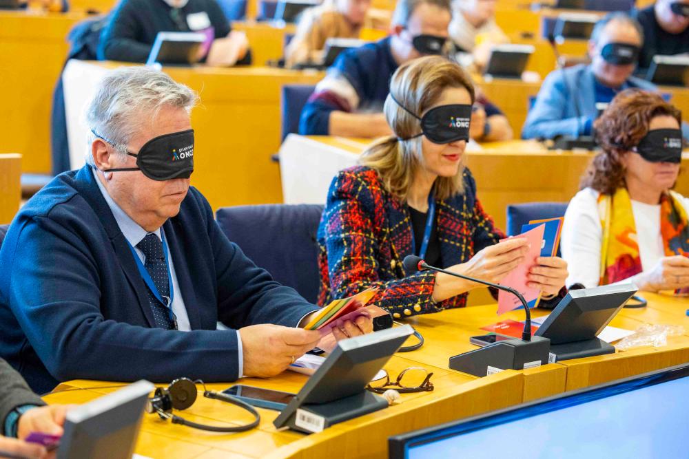 Eurodiputados realizando la demostración