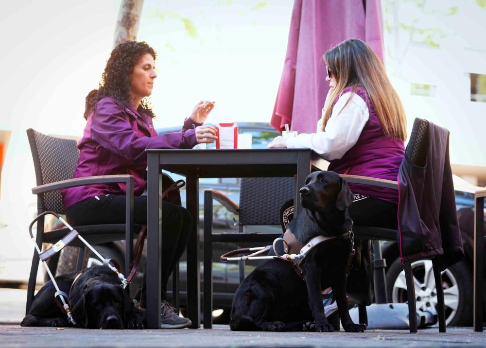 Usuarias de perro guía en una cafetería