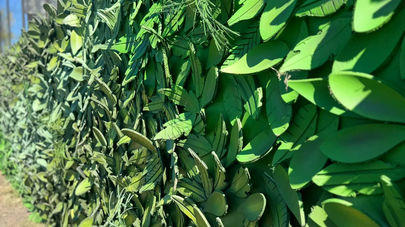 Detalle en primer plano del jardín