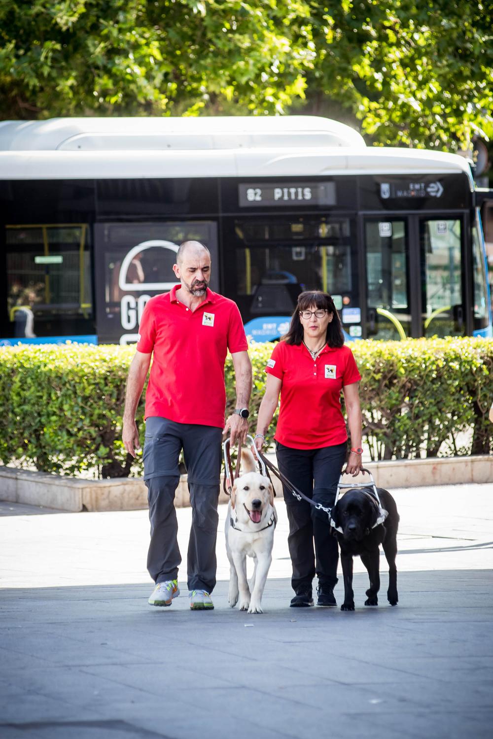 Instructores de perros guía