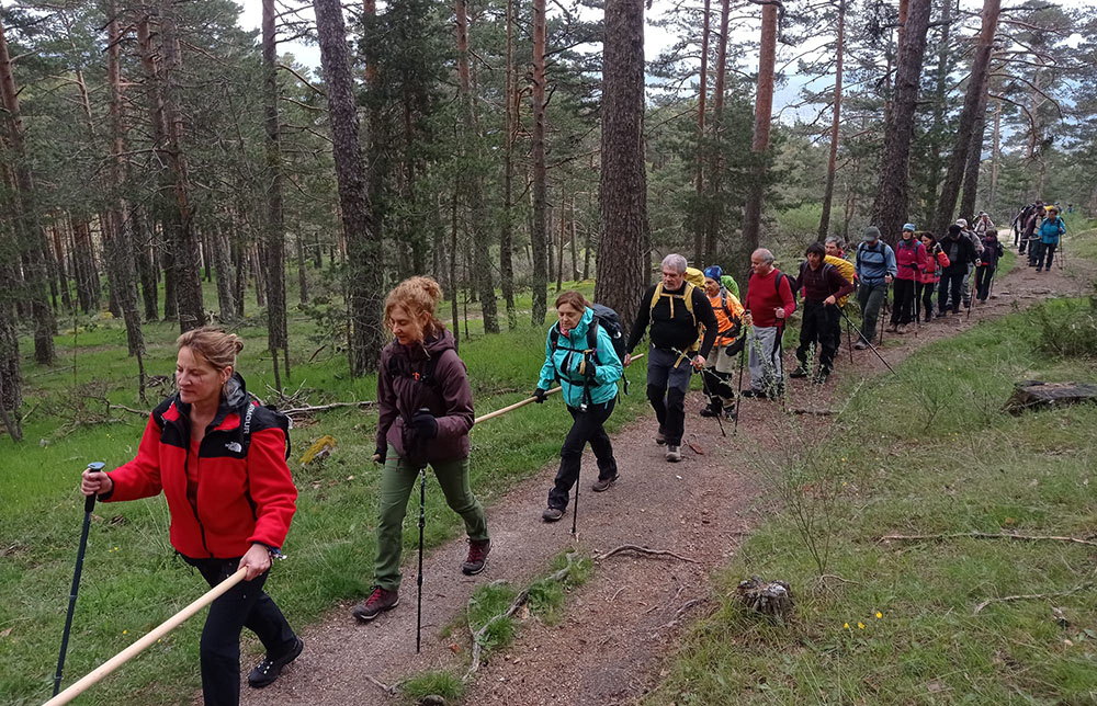El grupo de montañistas transitan por un camino