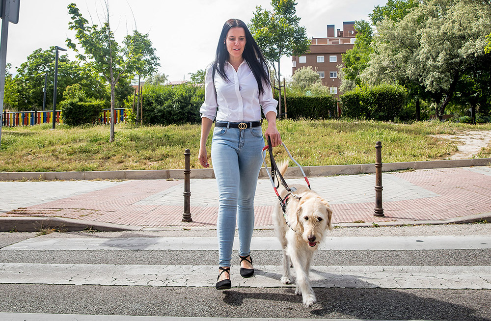 Una usuaria ciega cruzando con su perro guía