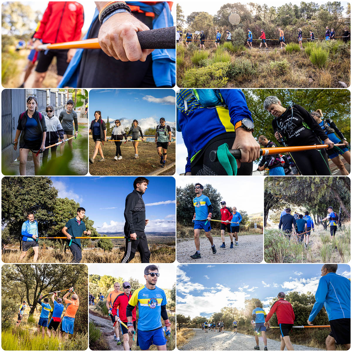 Collage con varios momentos de la jornada